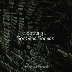 Soothing & Soothing Sounds - Lullabyes