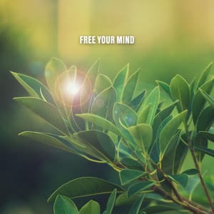Free Your Mind - Rain Sounds Nature Collection