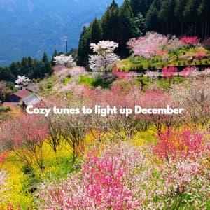 Cozy tunes to light up December - Slow Jazz