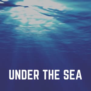 Under the Sea - Ocean Sounds FX