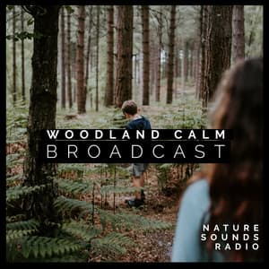 Woodland Calm Broadcast - Nature Sounds Radio