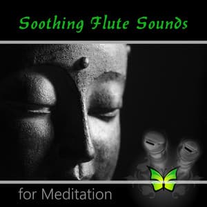 Soothing Flute Sounds for Meditation - Pure Nature Relaxing Sounds for Yoga, Music for Massage, Spa & Reiki Healing - Irish Flute Music Universe