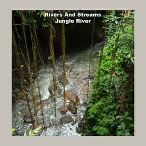 Jungle River - Rivers and Streams