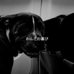 わんこの喜び - Musica Rilassante & Benessere