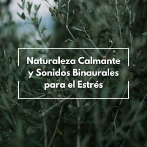 Naturaleza Calmante Y Sonidos Binaurales Para El Estrés - Universo De Latidos Binaurales