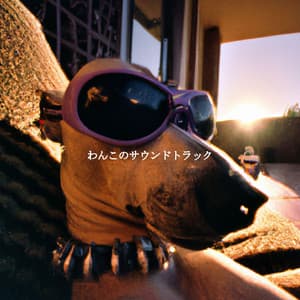 わんこのサウンドトラック - French Cafe Jazz Chill