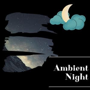 Ambient Night Sounds for Sound Sleep - Night Sounds Channel
