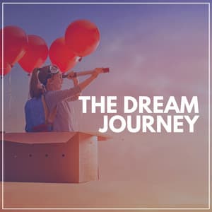 The Dream Journey - Insomnia Cure Maestro