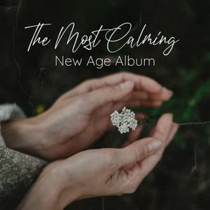 The Most Calming New Age - Wild Thomas