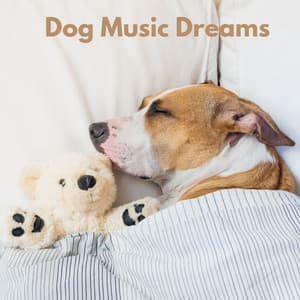 Dog Music Dreams - Relax My Puppy