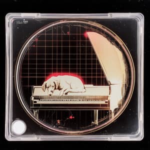 Prose Core - Dog Music Club