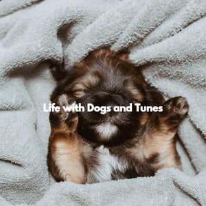 Life with Dogs and Tunes - Jazz & Study Playlist