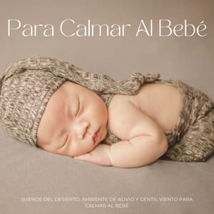 Sueños Del Desierto: Ambiente De Alivio Y Gentil Viento Para Calmar Al Bebé - Aire relajante