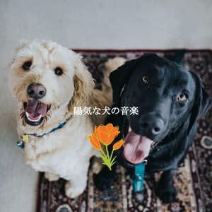 陽気な犬の音楽 - Cafe Restaurant Music