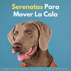 Serenatas Para Mover La Cola: Música Para Perros Contentos - Acústicamente