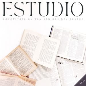 Estudio: Concentración Con Sonidos Del Bosque Vol. 1 - Tesoros del bosque