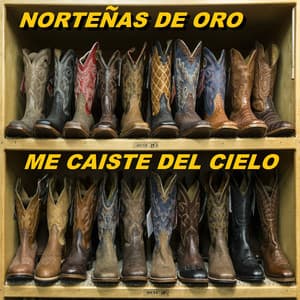 Me Caiste Del Cielo - Nortenas De Oro