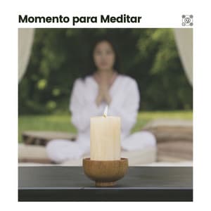 Momento para Meditar - Musicoterapia New Age