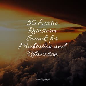 50 Exotic Rainstorm Sounds for Meditation and Relaxation - Deep Focus