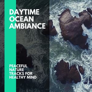 Daytime Ocean Ambiance - Peaceful Nature Tracks for Healthy Mind - Incredible Oceans