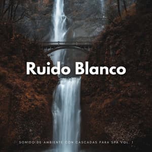 Ruido Blanco: Sonido De Ambiente Con Cascadas Para Spa Vol. 1 - Proyecto de ruido blanco