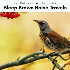 1 Sleep Brown Noise Travels - Be Relaxed White Noise