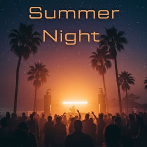 Summer Night Electronica - DJ MINDW4VE