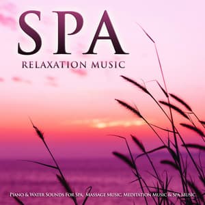 Spa Relaxation Music: Piano & Water Sounds For Spa, Massage Music, Meditation Music & Spa Music - Eastern Zen