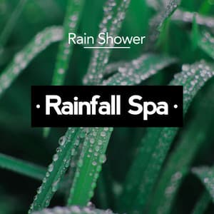 Rainfall Spa - Rain Shower