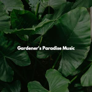 Gardener's Paradise Music - Hintergrund Jazz Musik
