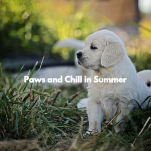 Paws and Chill in Summer - Book Shop Music