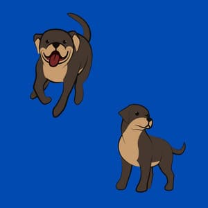 Jazz Organ and Guitar Solo - Dog Music Hour