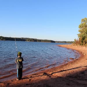 Loopable Zen over Drones - Yoga