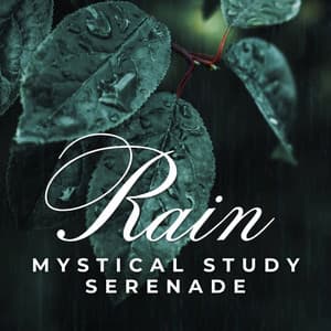 Rain Study Serenade: Enhancing Focus - Rain and Nature