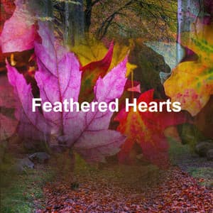 Feathered Hearts - Sounds of Nature for Deep Sleep and Relaxation