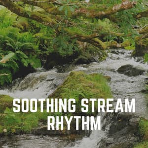 Soothing Stream Rhythm - Water Soundscapes