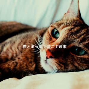猫とまったり過ごす週末 - Coffee Lounge Instrumental Jazz