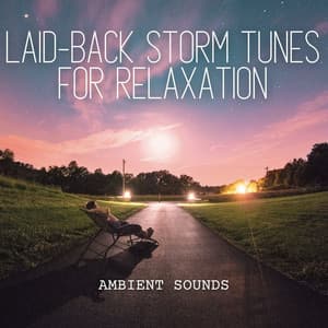 Ambient Sounds: Laid-back Storm Tunes for Relaxation - Rain Sounds for Relaxation