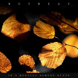 Retreat in a Restful Serene State - Sleeping Baby