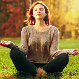 Mind Healing: Music for Meditation Depth - Flute Music Group