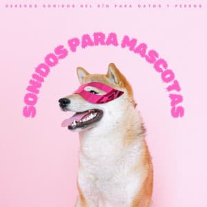 Sonidos Para Mascotas: Serenos Sonidos Del Río Para Gatos Y Perros - Biblioteca de Música Para Mascotas