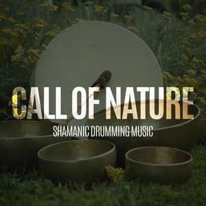Call of Nature. Shamanic Drumming Music for Meditation & Spiritual Retreat, Stress Relief, Soothing New Age Background Music - Project!Yoga Meditation