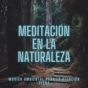 Meditación En La Naturaleza: Música Ambiental Para La Atención Plena - Sonidos de la Naturaleza Ruido