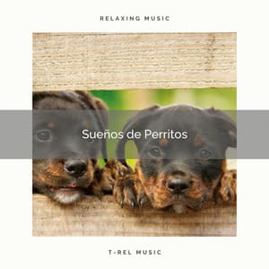 2021 Sueños de Perritos - Música Relajante para Perros