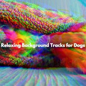 Relaxing Background Tracks for Dogs - Restaurant Music Lounge