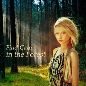 Find Calm in the Forest - Lovely Nature Music Zone