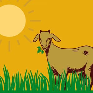 High Class Background Music for January Nostalgia - Coffee and Jazz