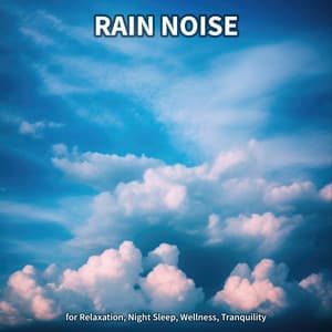 #1 Rain Noise for Relaxation, Night Sleep, Wellness, Tranquility - Rain Recordings