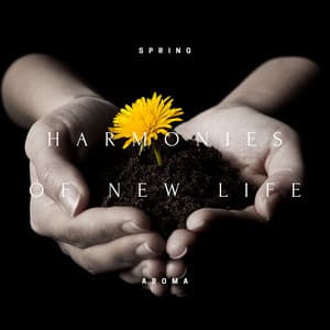 Harmonies of New Life: Awakening Blooms in 432 Hz - Spring Aroma