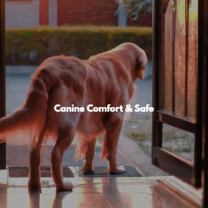 Canine Comfort & Safe - Musique pour Travailler